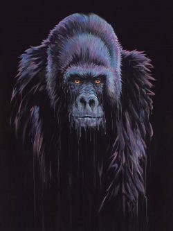 Harambe by Robert Oxley