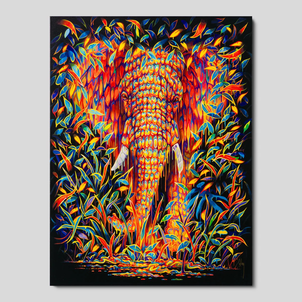 Robert Oxley Gardenia